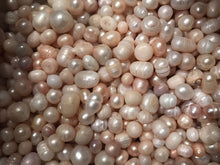 Load image into Gallery viewer, OLD SILVER & GOLD U.S. COIN COLLECTION