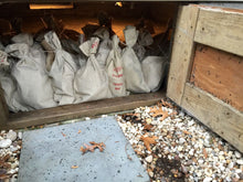 Load image into Gallery viewer, Mixed Grab Bag Coin Collection