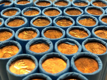 Load image into Gallery viewer, VINTAGE BLUE WHEAT PENNY ROLLS
